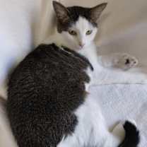 Thumbnail photo of Lucky Girl #2