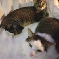 Thumbnail photo of Lucky Girl #3