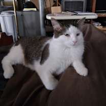 Thumbnail photo of Lucky Girl #4