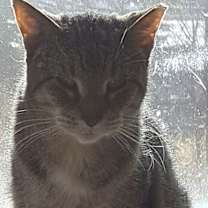 Thumbnail photo of Anne Rice #4