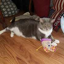 Thumbnail photo of KRISSY #4