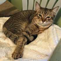 Thumbnail photo of SIERRA #1