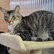 Thumbnail photo of Jonathan #2