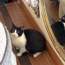 Thumbnail photo of Spot #2