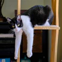 Thumbnail photo of Spot #3