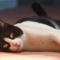 Thumbnail photo of Spot #4