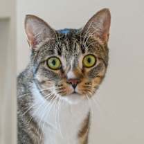 Thumbnail photo of Gretchen #3