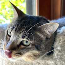 Thumbnail photo of Gretchen #4