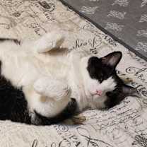 Thumbnail photo of Violet #2