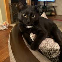 Thumbnail photo of Mercury #2