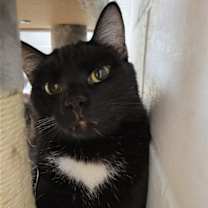 Thumbnail photo of Clancy #2