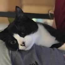 Thumbnail photo of JOLLY JOY #3