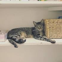 Thumbnail photo of Felicia #3