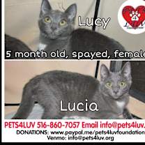 Thumbnail photo of Lucy - Bob #4