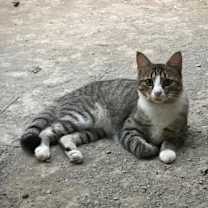 Thumbnail photo of Archer #3