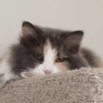 Thumbnail photo of Winifred #1