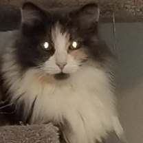 Thumbnail photo of Winifred #2