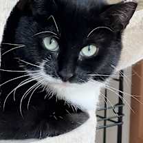 Thumbnail photo of Scampy #1