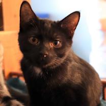 Thumbnail photo of Marsha #3