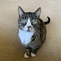 Thumbnail photo of Buddy #1