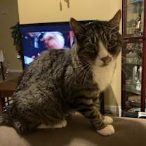 Thumbnail photo of Buddy #3