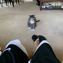 Thumbnail photo of Buddy #4