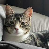 Thumbnail photo of Ren #1