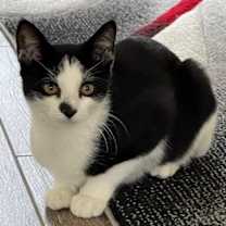 Thumbnail photo of Spot #1