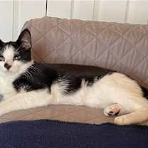 Thumbnail photo of Spot #2