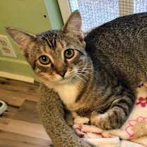 Thumbnail photo of Charleston #2