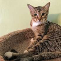 Thumbnail photo of Charleston #3