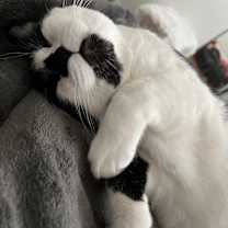 Thumbnail photo of Mou #2