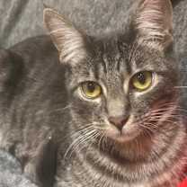 Thumbnail photo of Bambina #2