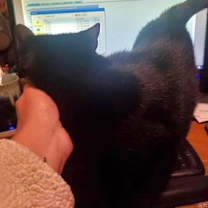 Thumbnail photo of Sabrina #4