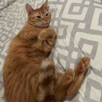 Thumbnail photo of Olympian #2