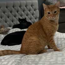 Thumbnail photo of Olympian #4