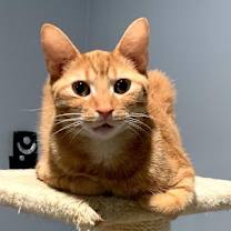 Thumbnail photo of Olympian #3