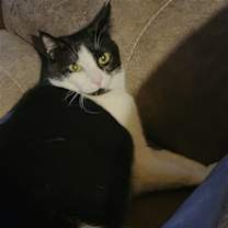 Thumbnail photo of Ferb #2
