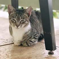 Thumbnail photo of Bonkers #3