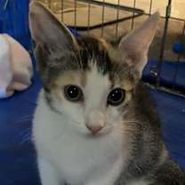 Thumbnail photo of Esmae #4