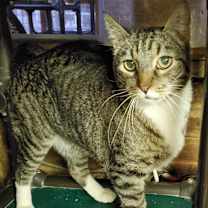 Thumbnail photo of Seppe #1