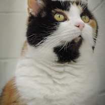 Thumbnail photo of Ariel #3