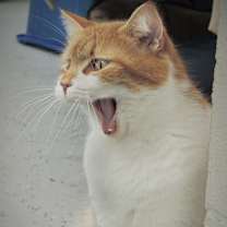 Thumbnail photo of Whitney #3
