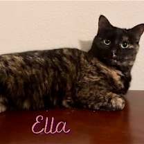 Thumbnail photo of Ella #4