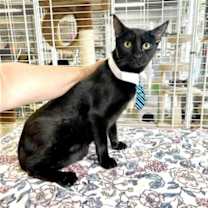 Thumbnail photo of Gary #2