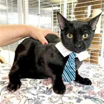 Thumbnail photo of Gary #3