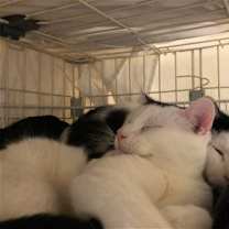 Thumbnail photo of Johnny and Chad #1