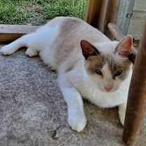 Thumbnail photo of Dora #2