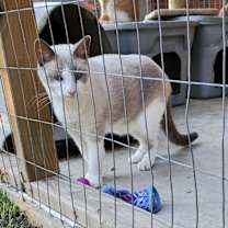 Thumbnail photo of Dora #3