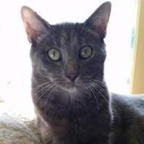 Thumbnail photo of Maggie #1